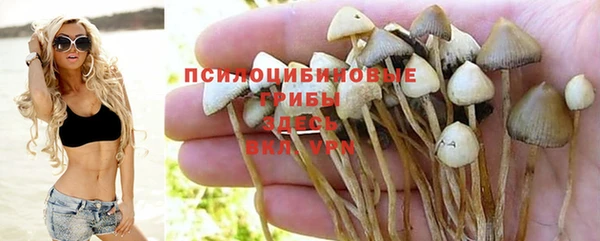молекула духа Волгодонск