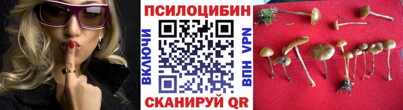 купить закладку  Сусуман  Галлюциногенные грибы ЛСД 
