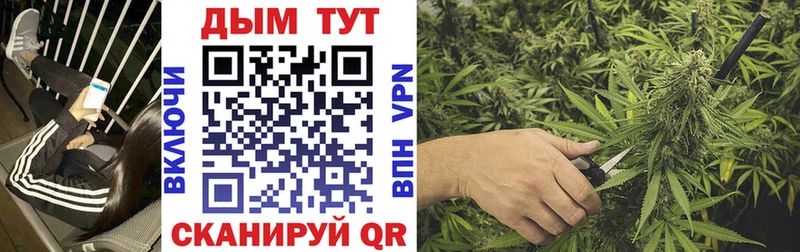 Канабис план Сусуман