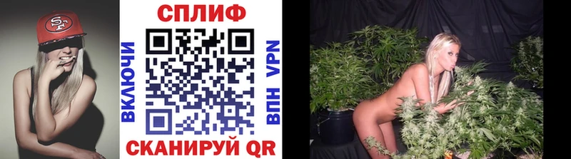 MEGA ССЫЛКА  shop состав  МАРИХУАНА индика  Сусуман 
